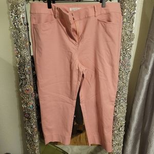 Ann Taylor Loft Pants